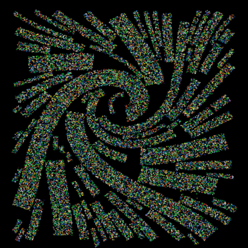 Generative Circles / 08